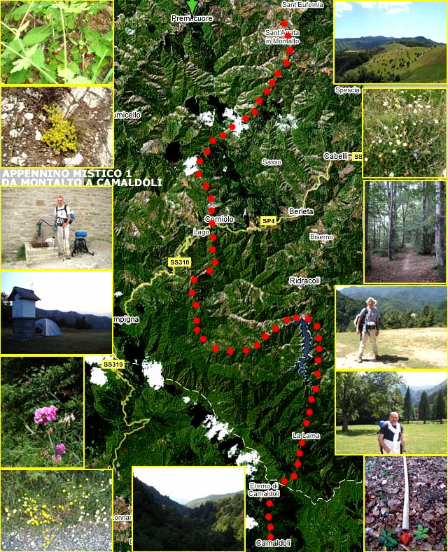 APPENNINO MISTICO: 4 Giorni di pellegrinaggio fra Camaldoli e La Verna